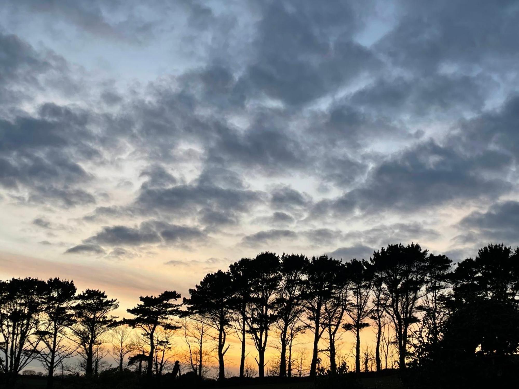 Fowey River Views Ngoại thất bức ảnh